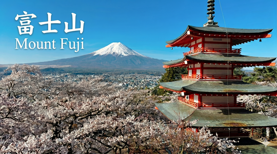 富士山・絶景ハイライト1日ツアー