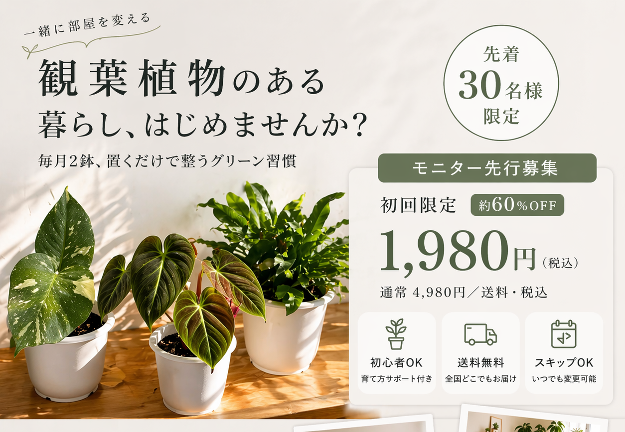  観葉植物の定期便「hachidori（ハチドリ）」 | SHELFユーザーの皆さまへ特別なご案内