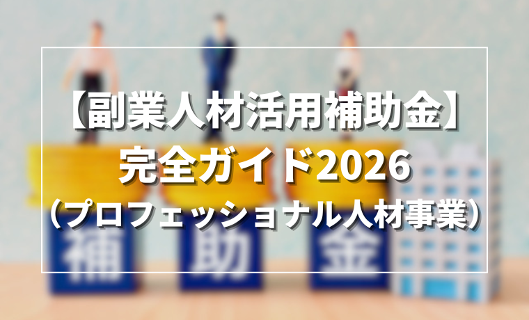 副業人材活用補助金完全ガイド2026（プロフェッショナル人材事業）