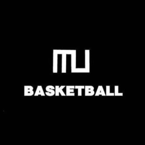 明星大学男子バスケットボール部