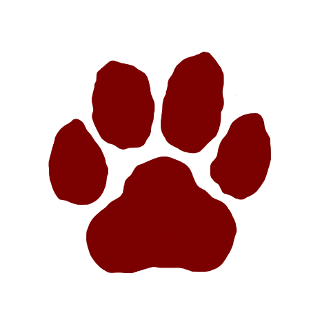 立命館大学体育会アメリカンフットボール部